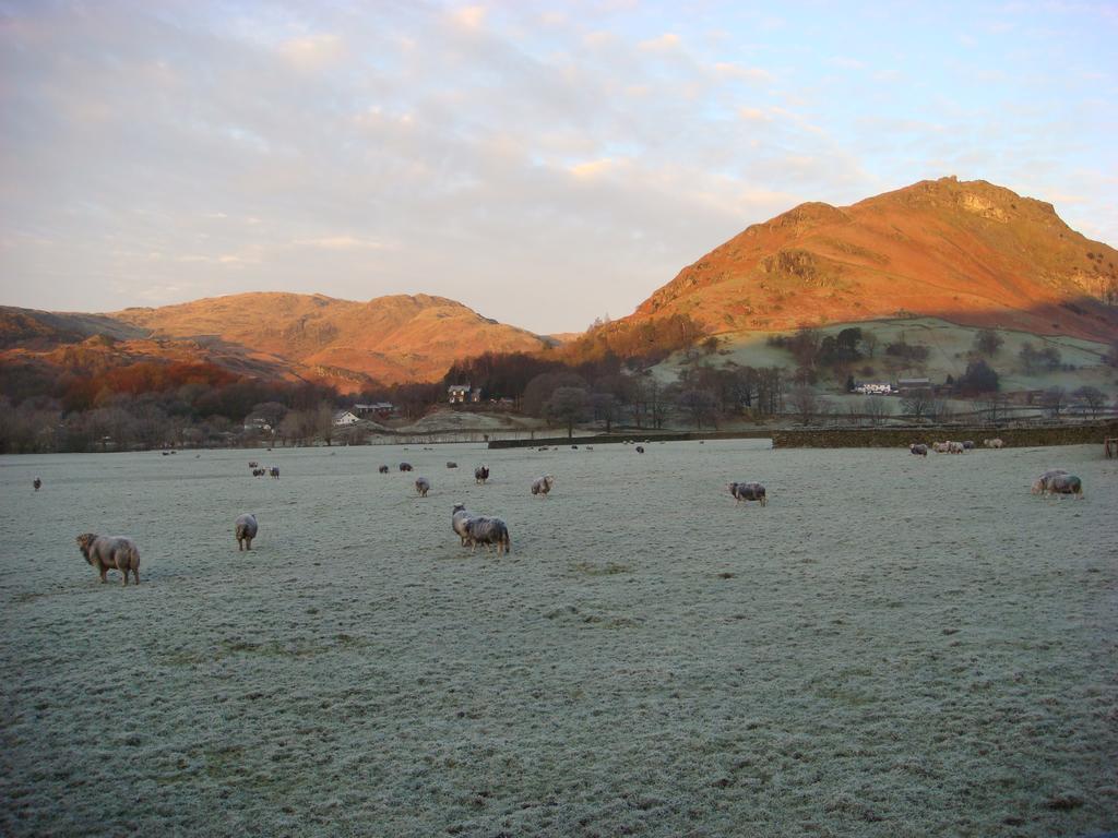 Raise View House Bed & Breakfast Grasmere Eksteriør bilde